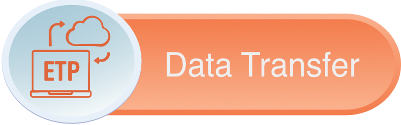Data Transfer icon